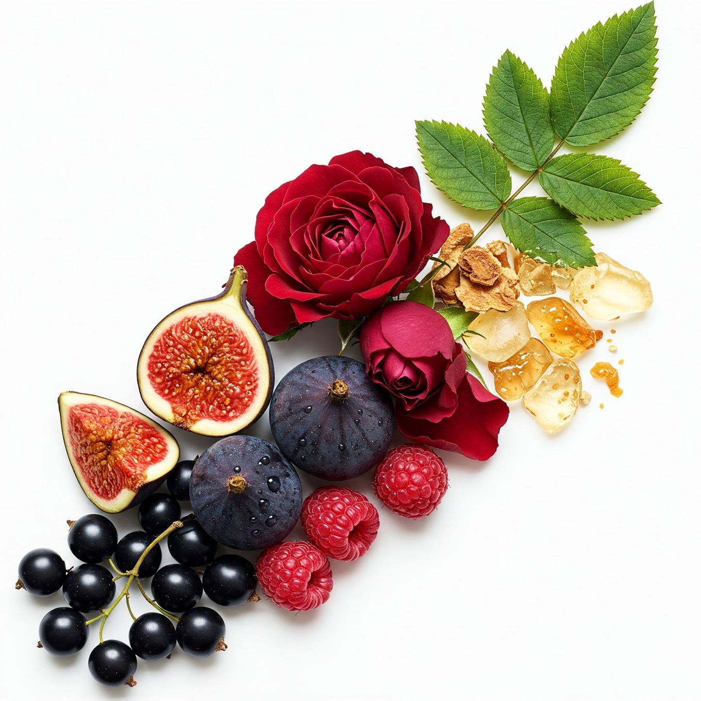 REF.225 SOLO CEDRO LW